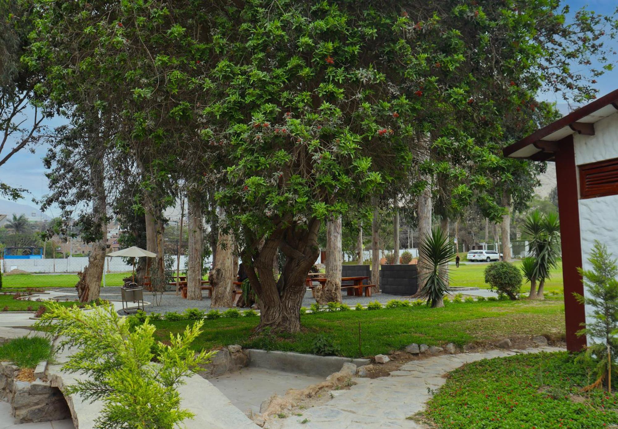 Los Andes - Restaurant & Bungalows Cieneguilla Kültér fotó