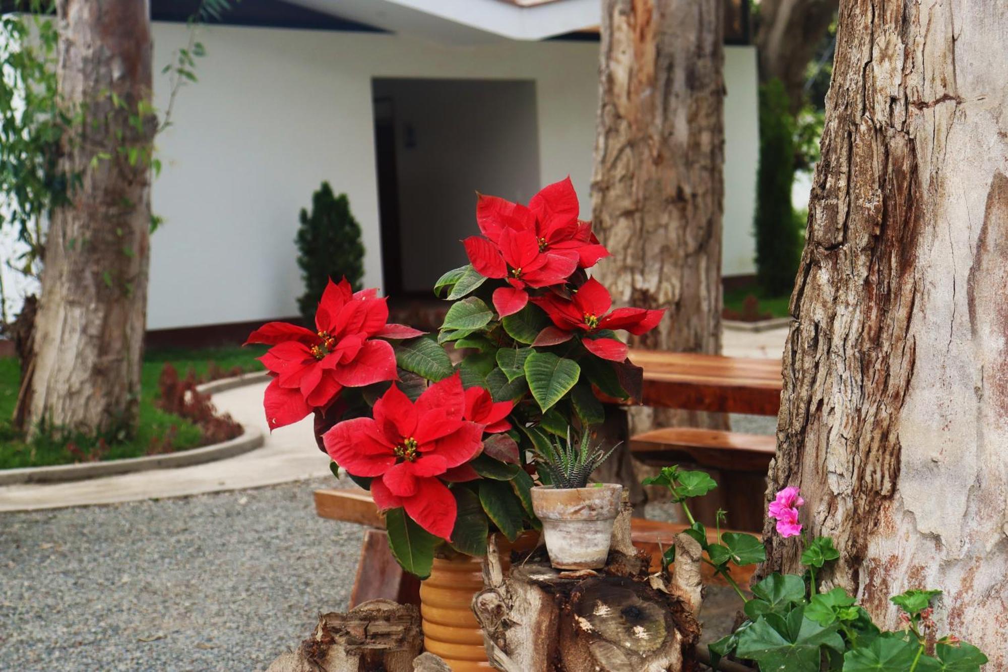 Los Andes - Restaurant & Bungalows Cieneguilla Kültér fotó